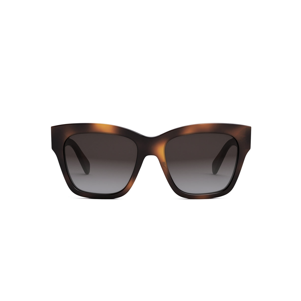 CL40253I 55 53K | Havana / Gradient gray/brown