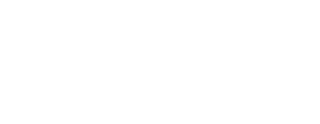Megane Elevated Optical
