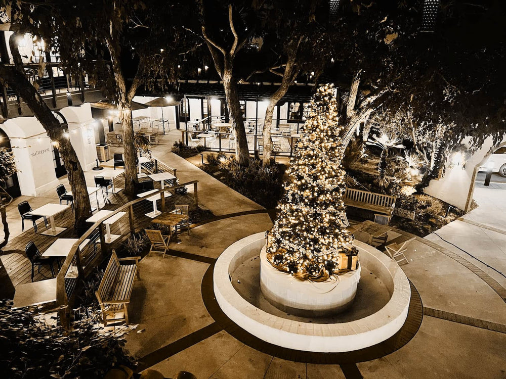 Celebrate 2025 Holiday Season at Paseo 17: Music, Good Food, & Great Gifts, all in a vibrant atmosphere.