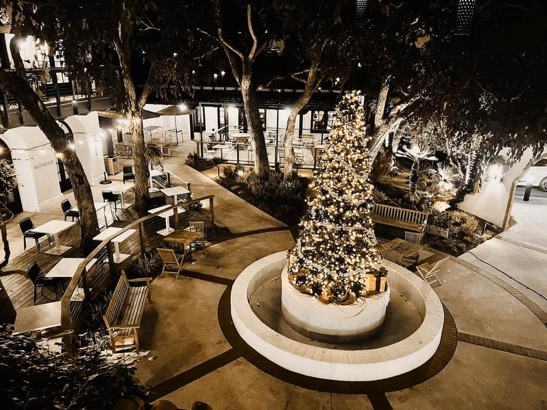 Celebrate 2025 Holiday Season at Paseo 17: Music, Good Food, & Great Gifts, all in a vibrant atmosphere.