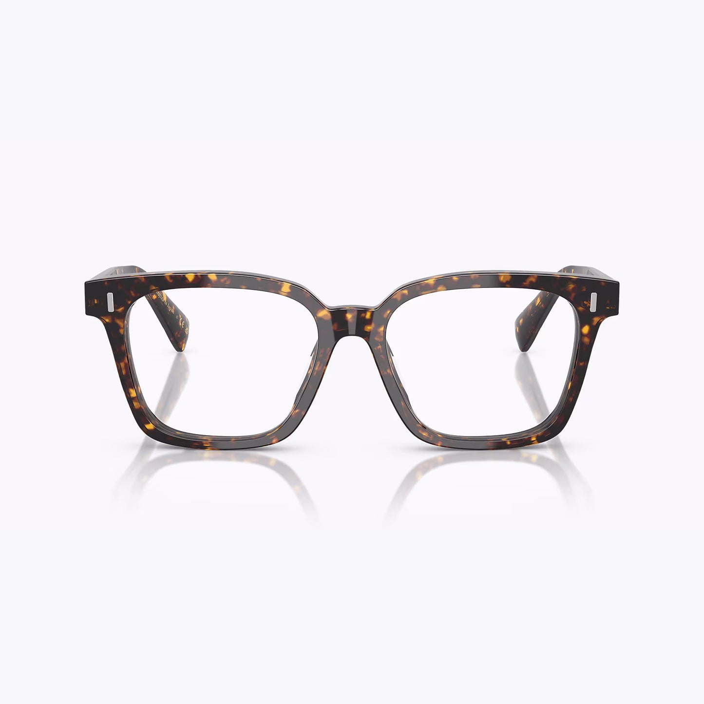 0OV5568U 1741 Aiona | Atago Tortoise