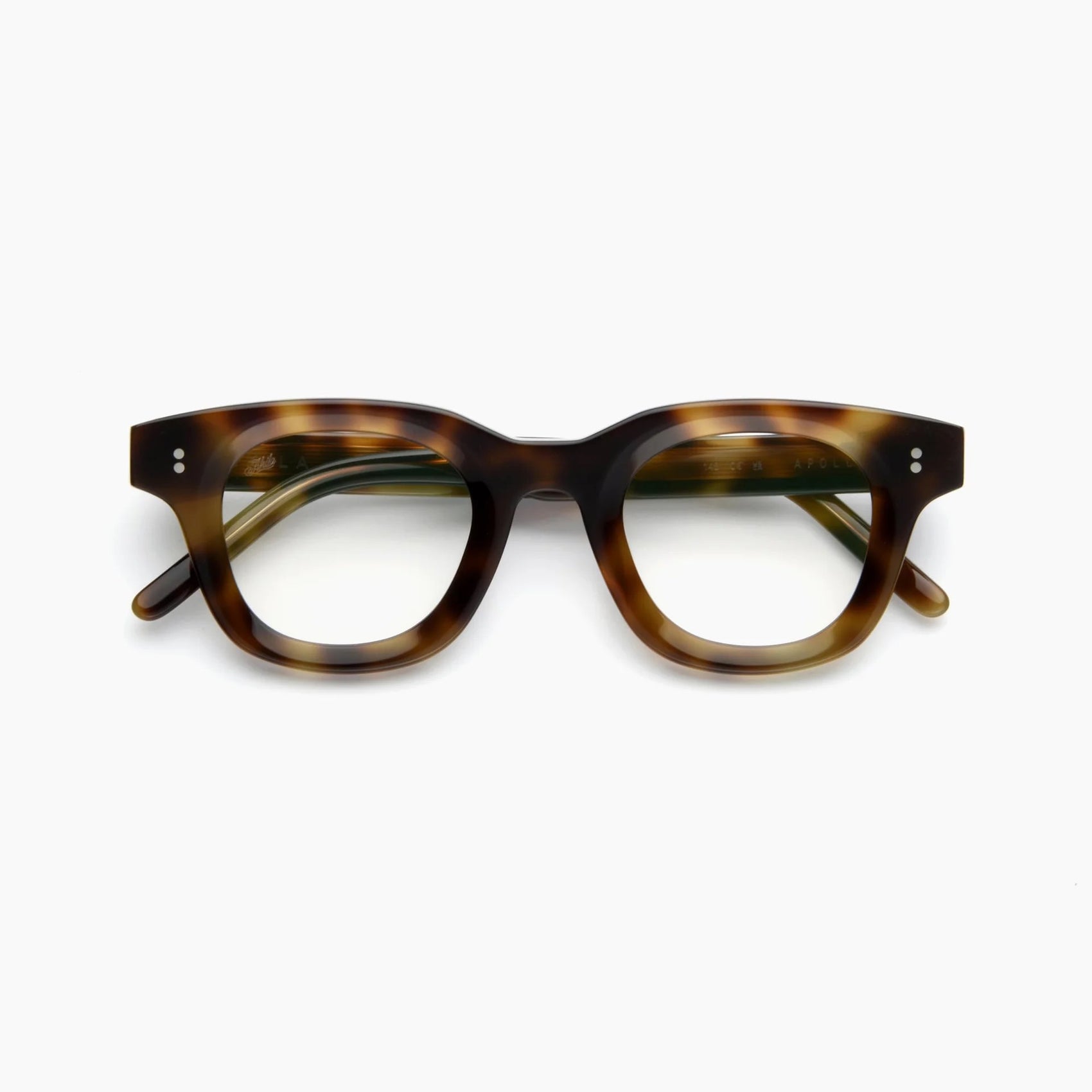 Apollo | Olive Tortoise