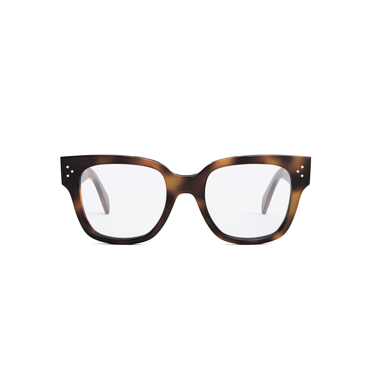 CL50066I 53 053 | Tortoise