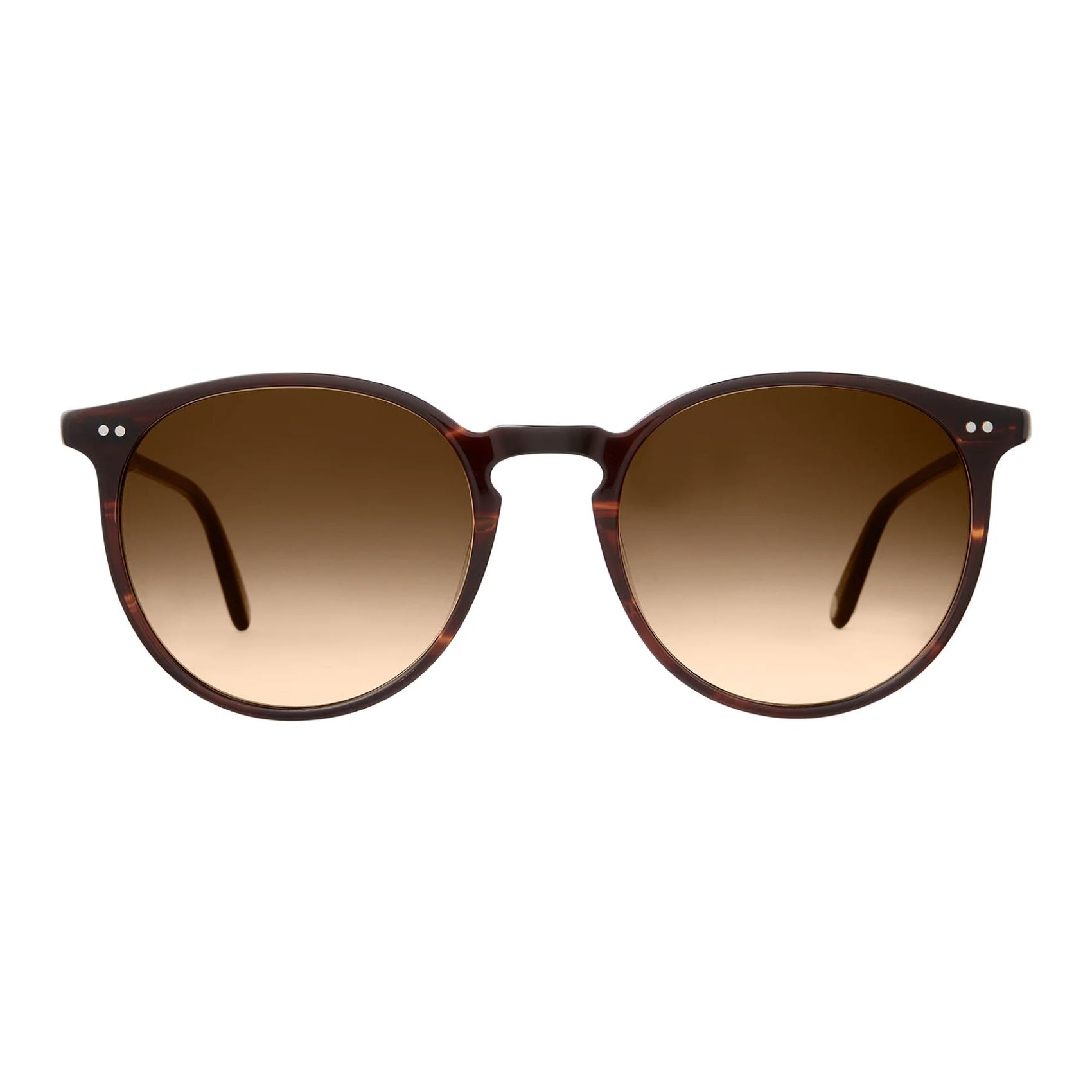 Morningside 51 Redwood Tortoise / Semi-Flat Brunette Gradient